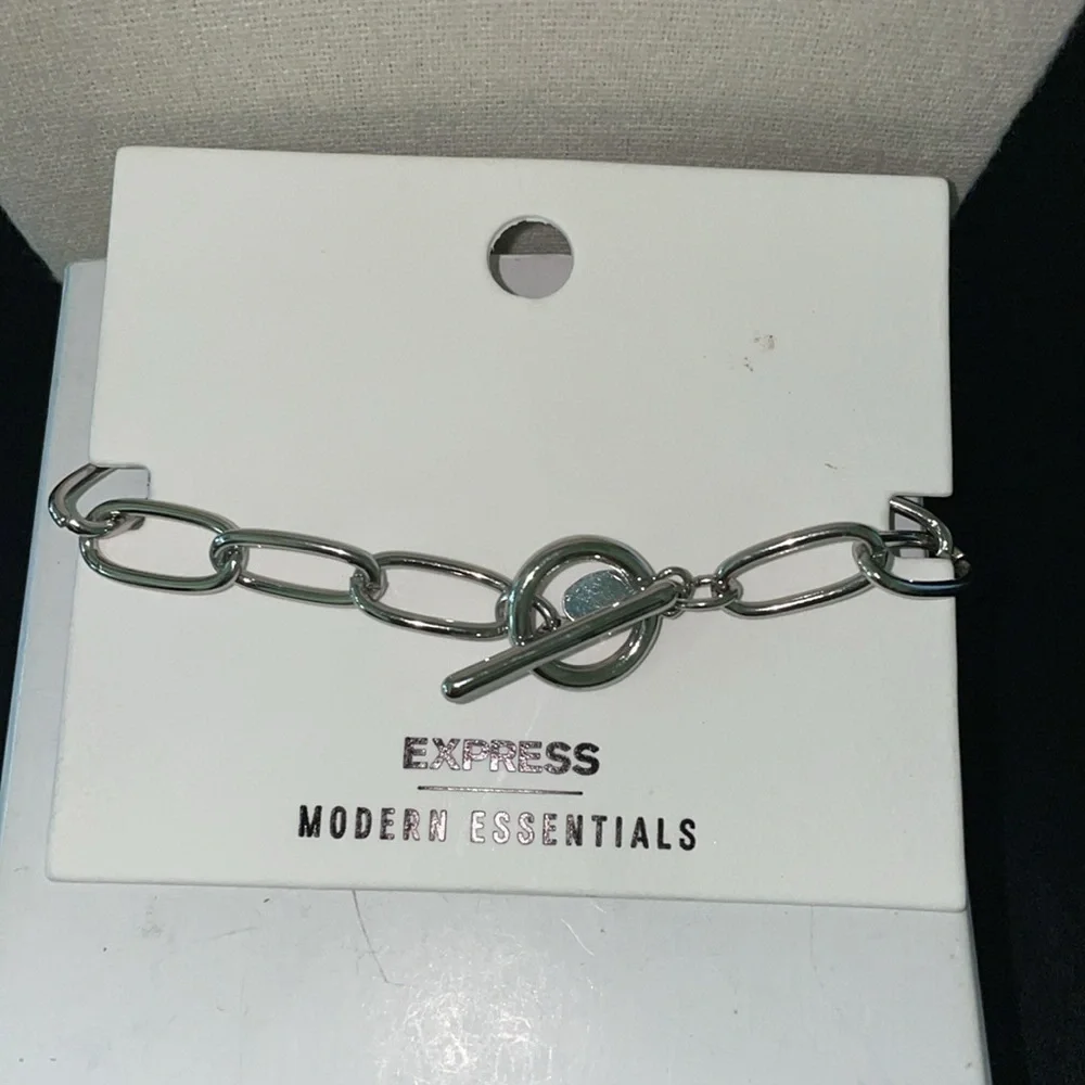 EXPRESS Silvertone Link, toggle clasp bracelet